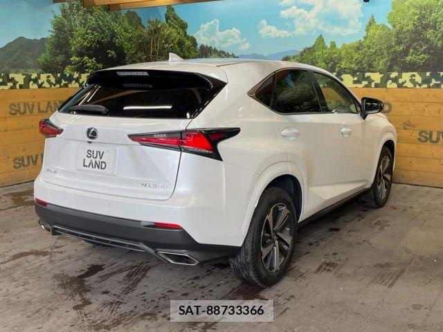 Lexus NX 2018-09 7221019-16