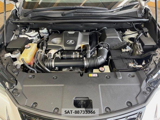 Lexus NX 2018-09 7221019-17