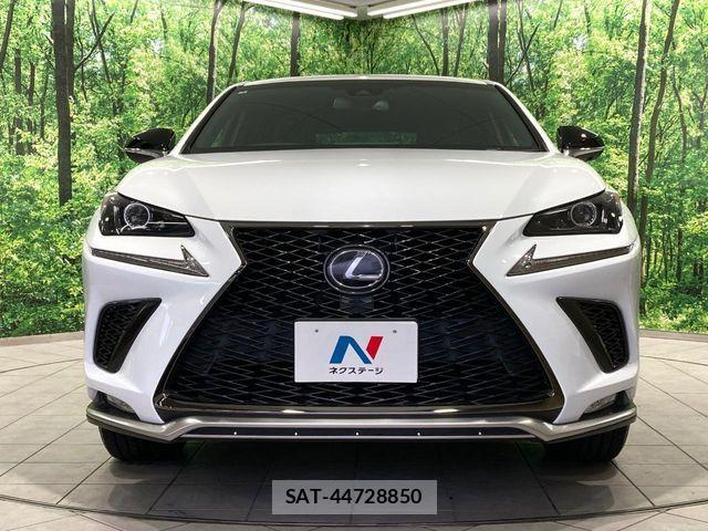 Lexus NX 2018-02 7221015-13