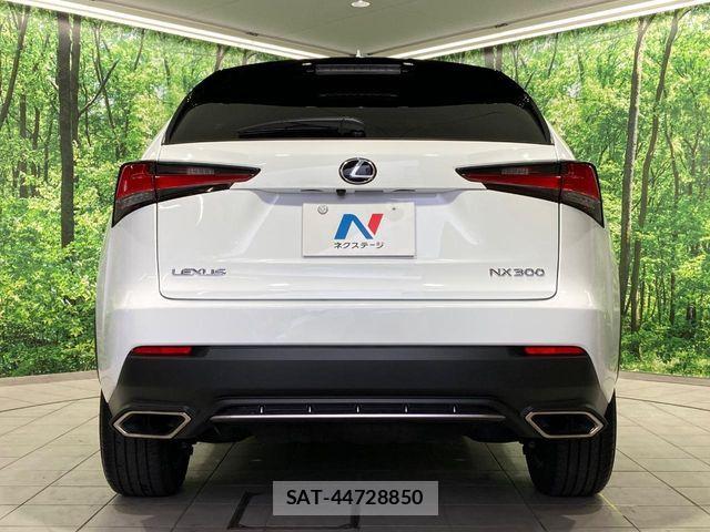 Lexus NX 2018-02 7221015-14