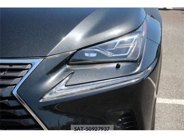 Lexus NX 2021-03 7221030-11