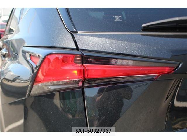 Lexus NX 2021-03 7221030-14