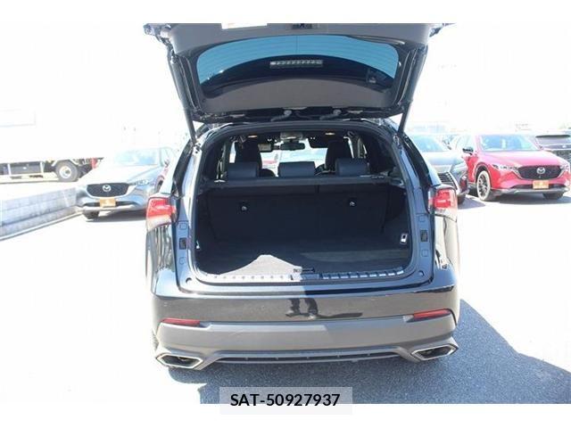 Lexus NX 2021-03 7221030-26