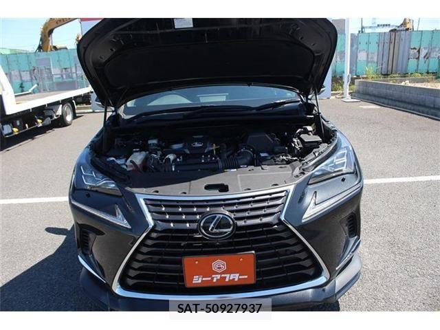 Lexus NX 2021-03 7221030-28