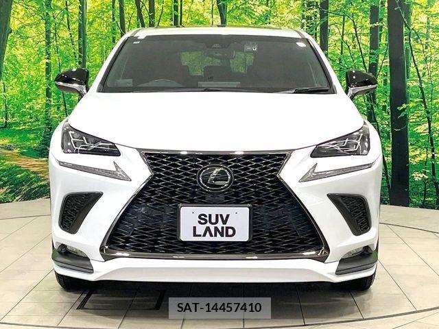 Lexus NX 2018-02 7221014-13