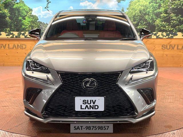 Lexus NX 2020-03 7221025-13