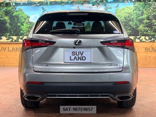 Lexus NX 2020-03 7221025-14