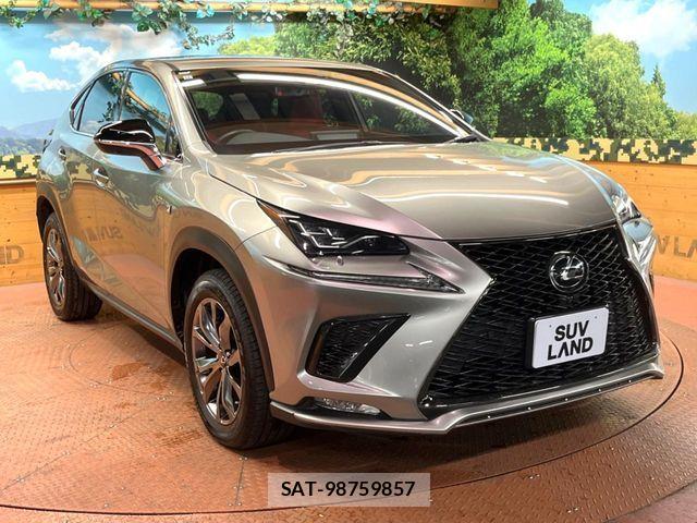Lexus NX 2020-03 7221025-15