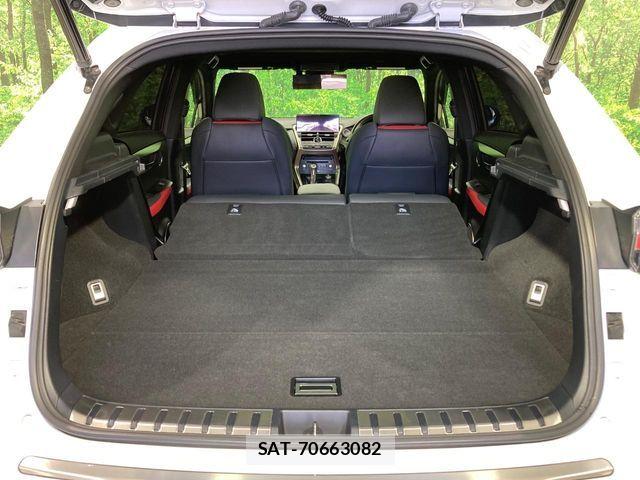 Lexus NX 2017-12 7215934-10