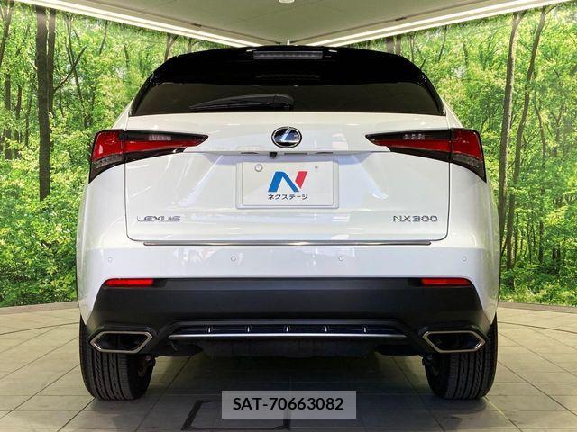 Lexus NX 2017-12 7215934-14