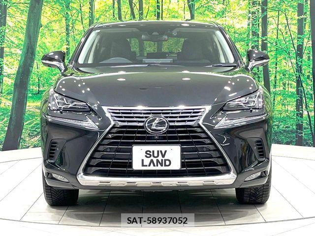 Lexus NX 2019-07 7221022-13