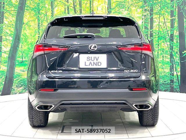 Lexus NX 2019-07 7221022-14