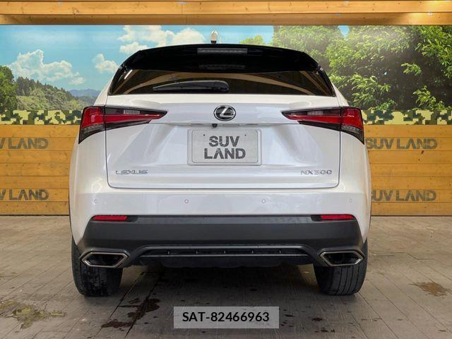 Lexus NX 2019-06 7221021-15