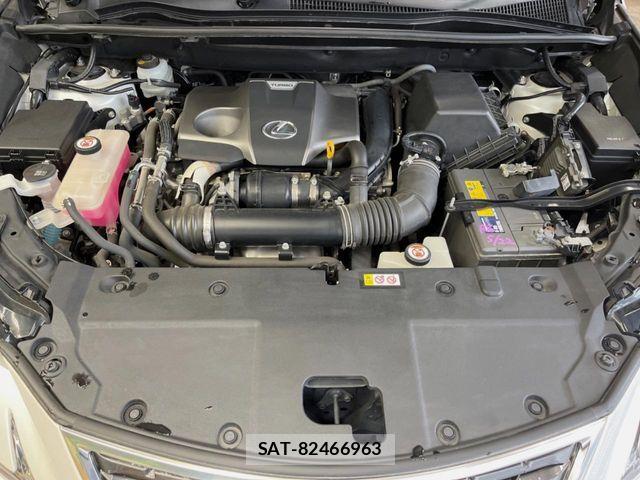 Lexus NX 2019-06 7221021-18