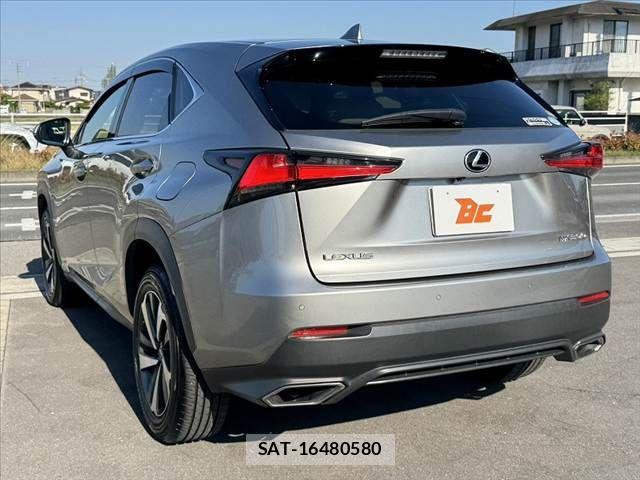 Lexus NX 2017-11 7221017-14