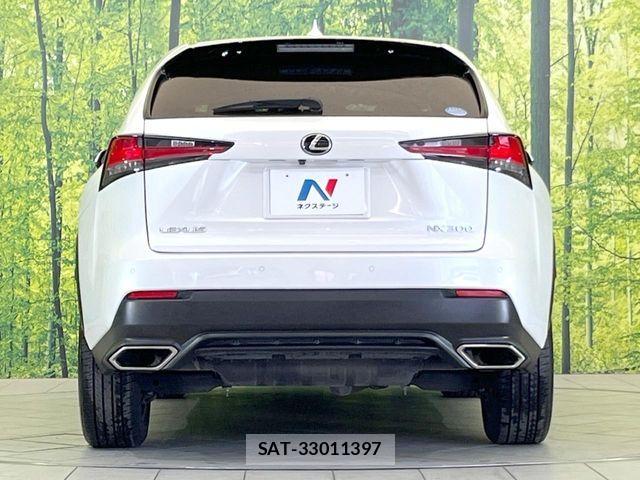 Lexus NX 2019-07 7221024-16