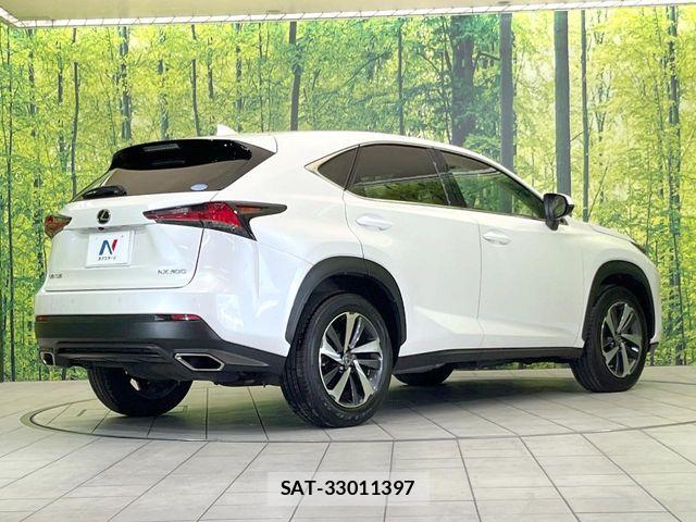 Lexus NX 2019-07 7221024-18