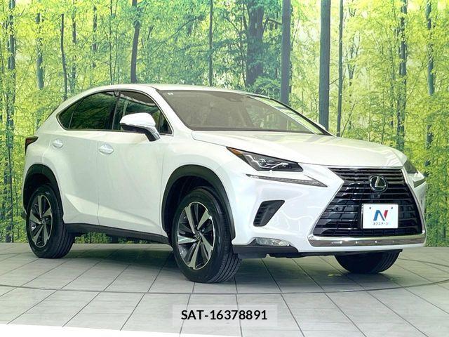 Lexus NX 2019-09 7221023-14