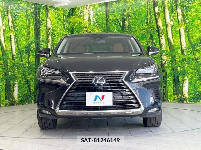 Lexus NX 2018-11 7221020-13