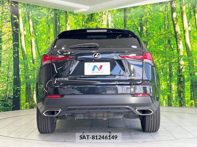 Lexus NX 2018-11 7221020-14