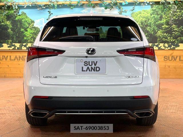 Lexus NX 2019-08 7251334-14