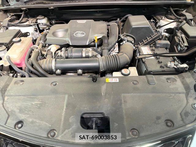 Lexus NX 2019-08 7251334-17
