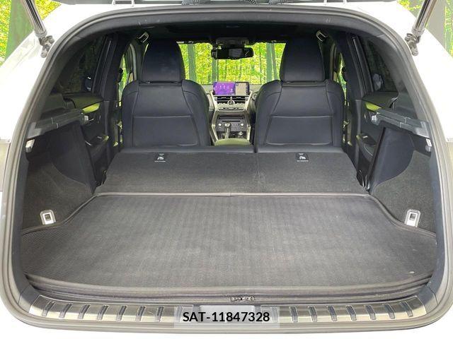 Lexus NX 2018-10 7272234-9