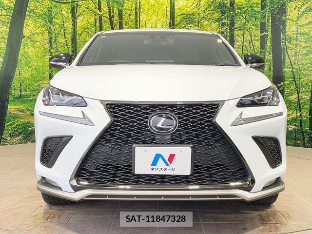 Lexus NX 2018-10 7272234-13