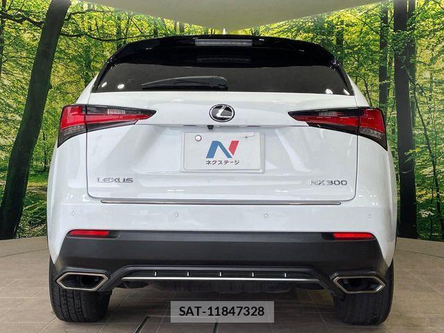 Lexus NX 2018-10 7272234-14