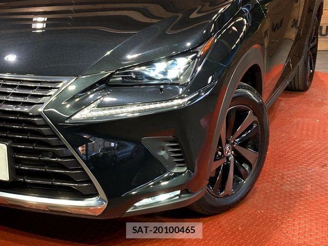 Lexus NX 2018-09 7272230-11