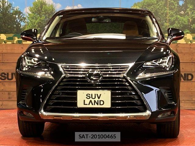 Lexus NX 2018-09 7272230-13
