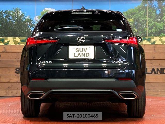 Lexus NX 2018-09 7272230-14