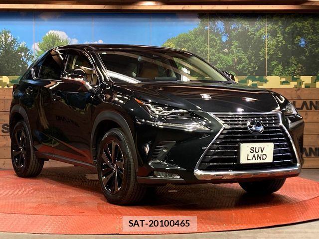 Lexus NX 2018-09 7272230-15