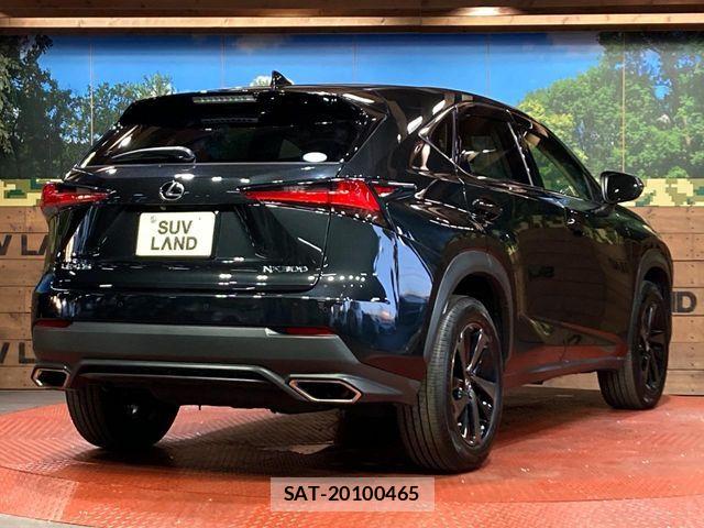Lexus NX 2018-09 7272230-16