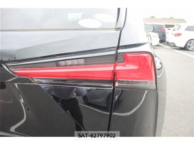 Lexus NX 2018-04 7328051-11