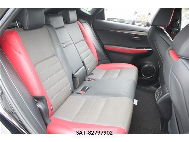 Lexus NX 2018-04 7328051-14