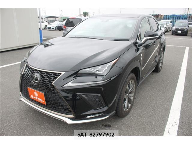 Lexus NX 2018-04 7328051-19