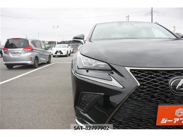 Lexus NX 2018-04 7328051-20