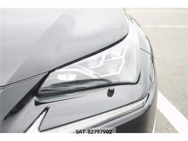 Lexus NX 2018-04 7328051-22