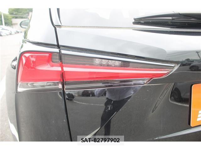 Lexus NX 2018-04 7328051-23