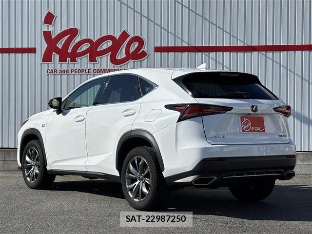 Lexus NX 2019-07 7328047-1