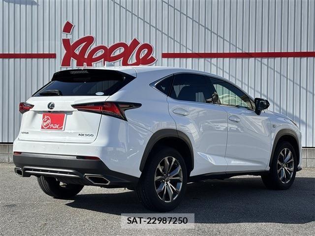 Lexus NX 2019-07 7328047-2
