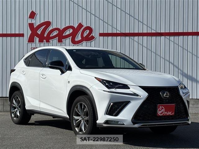Lexus NX 2019-07 7328047-3