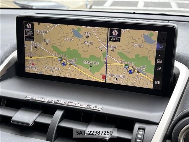 Lexus NX 2019-07 7328047-6