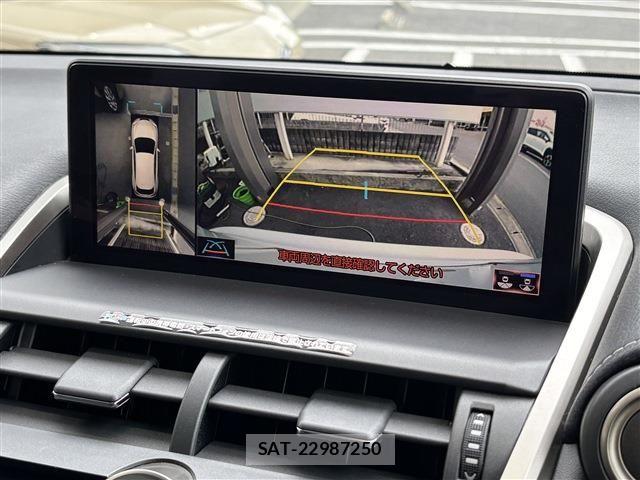 Lexus NX 2019-07 7328047-7