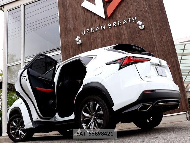 Lexus NX 2017-11 7328055-11