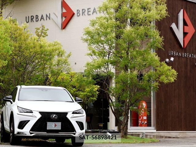 Lexus NX 2017-11 7328055-5