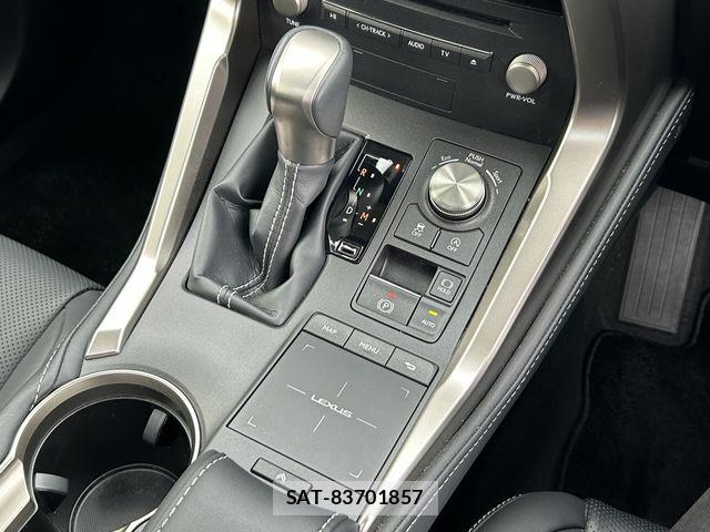 Lexus NX 2021-05 7358516-13
