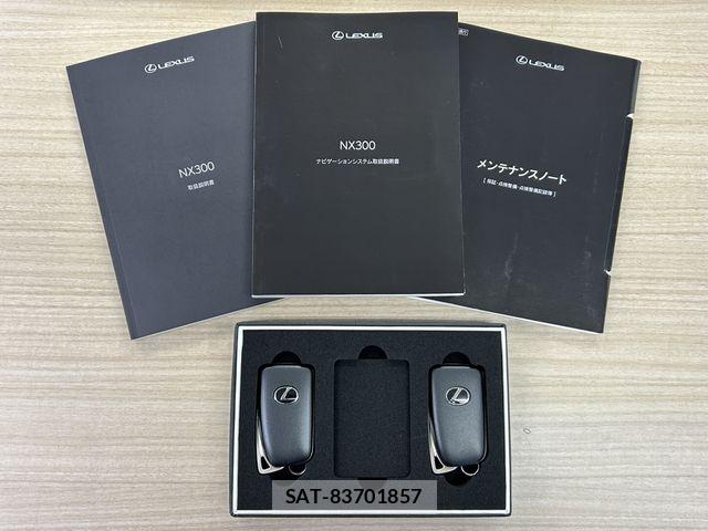Lexus NX 2021-05 7358516-1
