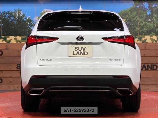 Lexus NX 2018-06 7358515-14